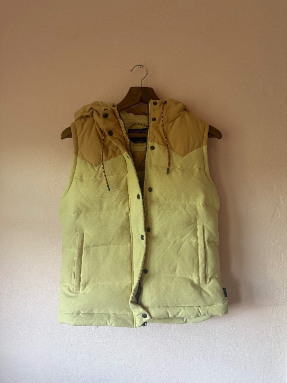 Patagonia Hooded Puffer Vest
